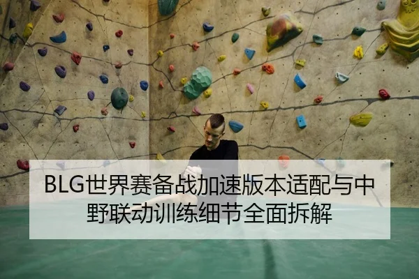 BLG世界赛备战加速版本适配与中野联动训练细节全面拆解